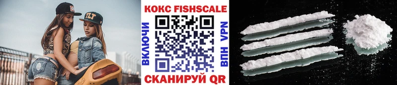 Cocaine FishScale  купить закладку  Донской 