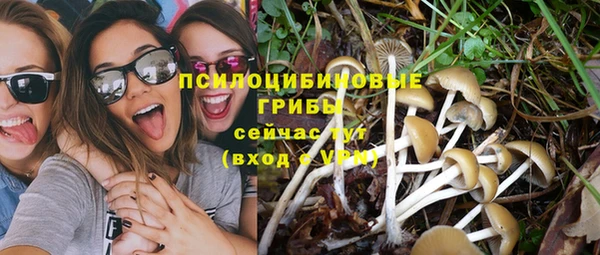 PSILOCYBIN Абаза