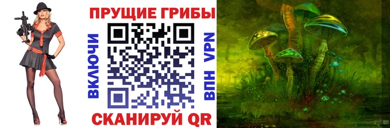 Псилоцибиновые грибы MAGIC MUSHROOMS  Донской 